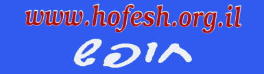 Hofesh blue sticker