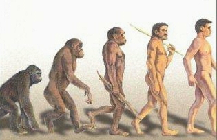 האבולוציה של האדם